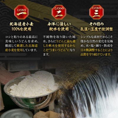 【讃岐うどんのこんぴらや】半生うどん『讃岐麺維新』(9袋×240g・つゆ15袋)