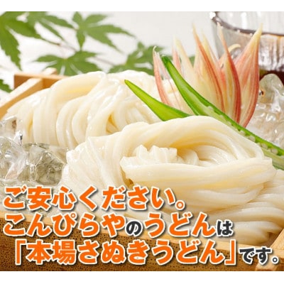 【讃岐うどんのこんぴらや】半生うどん『讃岐麺維新』(9袋×240g・つゆ15袋)