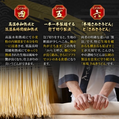 【讃岐うどんのこんぴらや】半生うどん『讃岐麺維新』(6袋×240g・つゆなし)