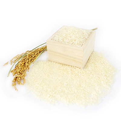 【令和4年産】特別栽培米コシヒカリ多古米　精米10kg・玄米10kgセット
