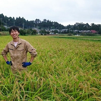 【令和2年産】新米 特別栽培米コシヒカリ多古米 玄米20kg