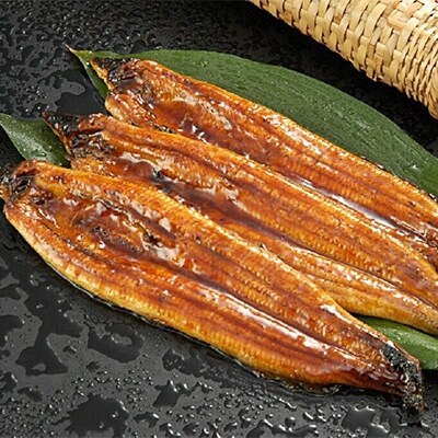 高知県産うなぎ蒲焼 5尾セット