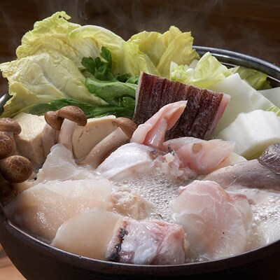 幻の食材　天然くえ500g(鍋用、2～3人前)