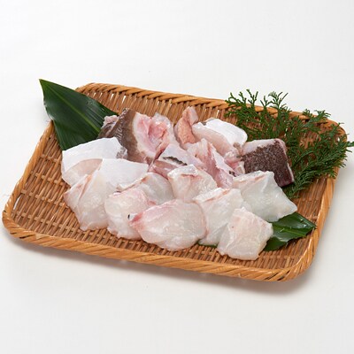 幻の食材　天然くえ500g(鍋用、2～3人前)
