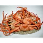 【おすすめ】新湊産紅ズワイガニ約2kg(4～6尾)