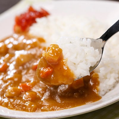 カレー専門店サブジ 野菜カレー 9kg