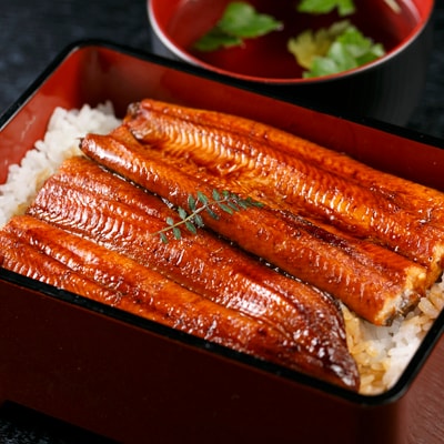 【のし付き】国産うなぎ 蒲焼・4尾セット　