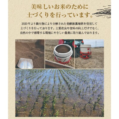 多賀城のお米 令和5年産ひとめぼれ 無洗米(精米)9kg