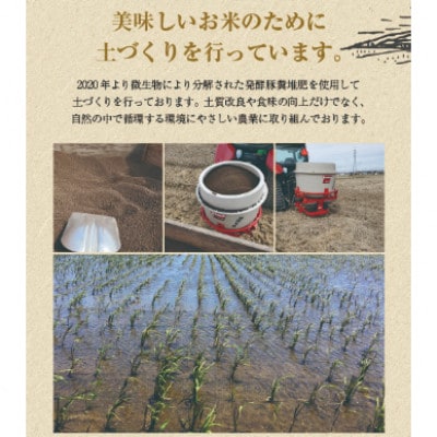 多賀城のお米 令和5年産ミルキークイーン 無洗米(精米)9kg