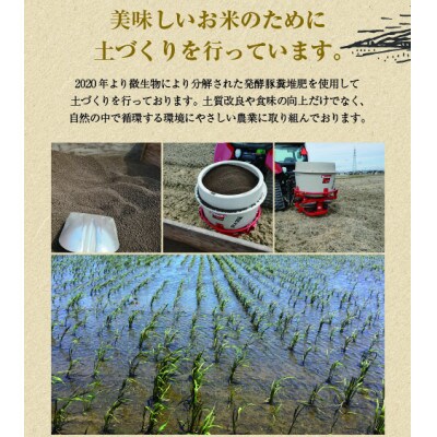 多賀城のお米 令和5年産 いのちの壱　無洗米27kg