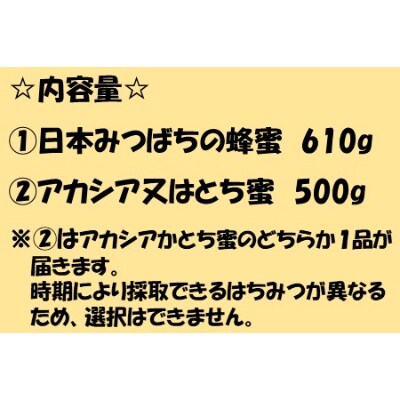 史都多賀城日本みつばちの蜂蜜610g・アカシア又はとち蜜500g(C004)