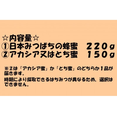 史都多賀城日本みつばちの蜂蜜220g・アカシア又はとち蜜150g