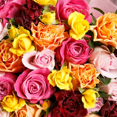 バラの花束　ミックス 50本