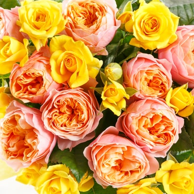 バラの花束　ミックス 20本
