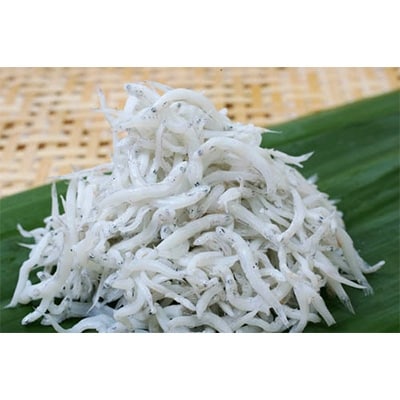 紀州湯浅湾直送!特上　茹でたて 釜揚げしらす　木箱　850g　【冷蔵】