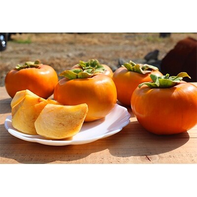 【まごころ手選別】和歌山産 種なし柿 2.5kg~3kg (L~2Lサイズ 12個入り)2箱