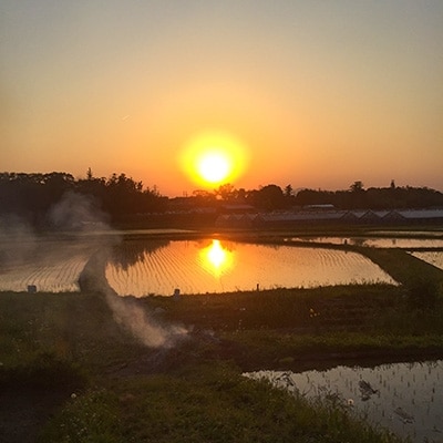 【令和4年産米】有機栽培米　地球の気『みずかがみ』玄米3kg