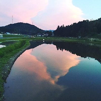【令和4年産米】有機栽培米　地球の気『みずかがみ』玄米3kg