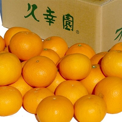 完熟とろとろ清見オレンジ 7kg