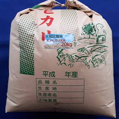 令和6年産 色彩選別加工済大和米 奈良県広陵町ヒノヒカリ玄米20kg