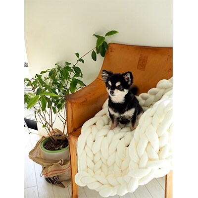 Cloudy Hand Knit Blanket　Mサイズ　ライトグリーン MWCA-002