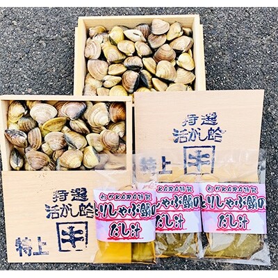 活はまぐり木箱入り、ドカンと6kg!わかKARA特製鍋のだし付