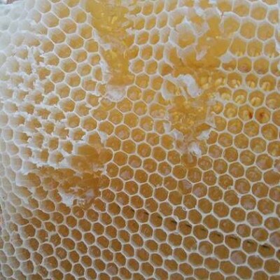 ナッツの国産はちみつ漬けと巣蜜入り国産アカシアはちみつ