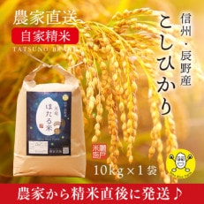 栽培期間低農薬と味にこだわる信州産【こしひかり】天竜ほたる米10kg 新鮮なお米を農家から直送します