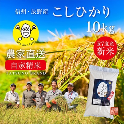 【先行受付】令和7年産新米予約!長野県辰野産コシヒカリ「天竜ほたる米」10kg