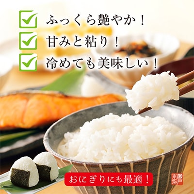 【先行受付】令和7年産新米予約!長野県辰野産コシヒカリ「天竜ほたる米」10kg