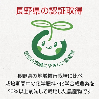 【先行受付】令和7年産新米予約!長野県辰野産コシヒカリ「天竜ほたる米」10kg