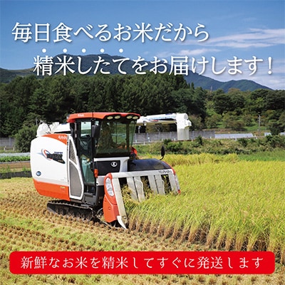 【先行受付】令和7年産新米予約!長野県辰野産コシヒカリ「天竜ほたる米」10kg