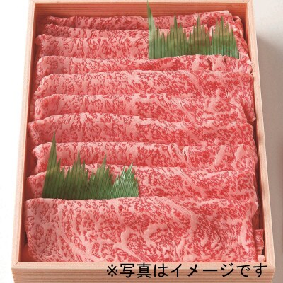 ☆冷蔵お届け☆熟鮮!信州プレミアム牛肉　特撰霜降りうす切り500g　しゃぶしゃぶ用/すき焼き用