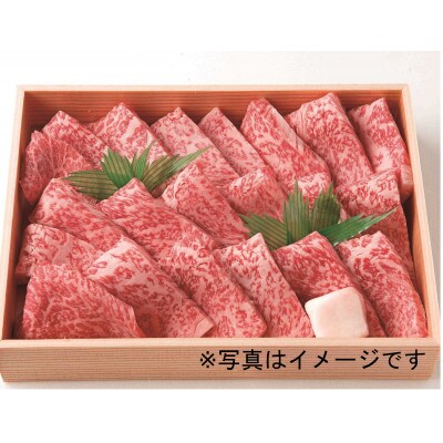 ☆冷蔵お届け☆熟鮮!信州プレミアム牛肉　特撰赤身焼肉(500g)