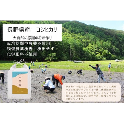 令和5年産　コシヒカリ(白米5kg)　大自然に感謝の栽培　芳醇な味わいな『小里米』