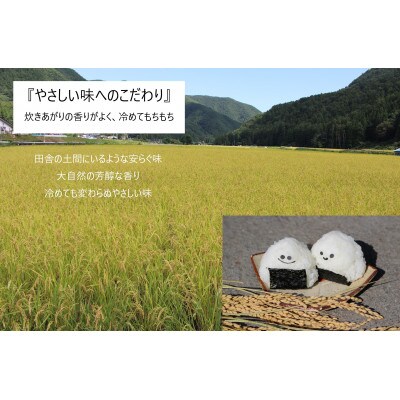 令和5年産　コシヒカリ(白米5kg)　大自然に感謝の栽培　芳醇な味わいな『小里米』