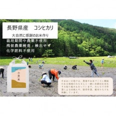 令和5年産コシヒカリ(白米2kg+胚芽米2kg)大自然に感謝の栽培 ほっこり芳醇な味わいの『小里米』