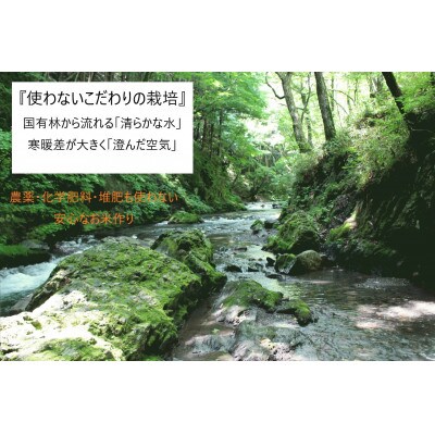 令和5年産　コシヒカリ(胚芽米5kg)　大自然に感謝の栽培　芳醇な味わいな『小里米』