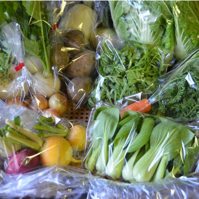信州辰野町『ゆがふ農園』　旬のお野菜詰め合わせセット(栽培期間中農薬不使用・無肥料栽培)　