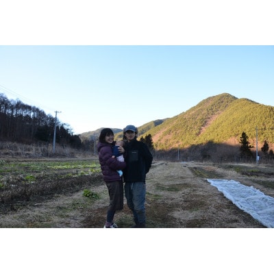 信州辰野町『ゆがふ農園』　旬のお野菜詰め合わせセット(栽培期間中農薬不使用・無肥料栽培)　