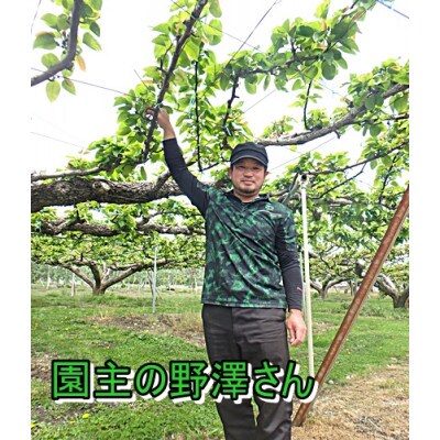 【令和4年先行受付開始】贈答用　サンふじ5kg