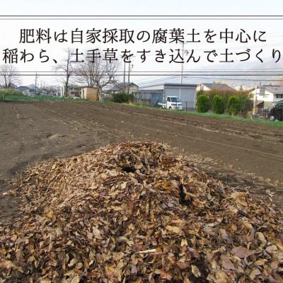 【7・8月発送予定】栽培期間中農薬不使用ベビーコーン!!農産物認定証取得園場(30本)