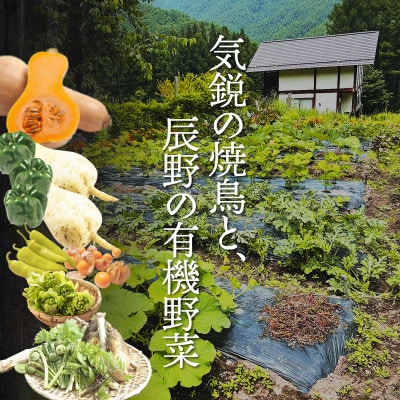 【ふるさと納税限定】中目黒の焼鳥店 名物「皮付きもも」を野菜串と希少ワインで味わう2名様お食事券
