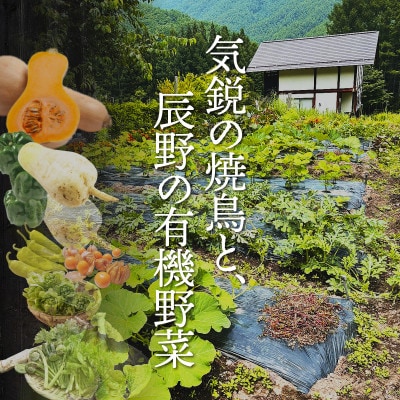 【ふるさと納税限定】東京中目黒の焼鳥店 名物「皮付きもも」と野菜串で味わう2名様お食事券