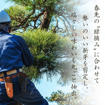 【松茸山の恵み】赤松葉ジュース1000ml×2本
