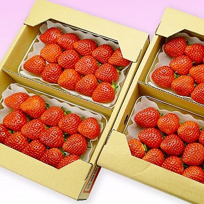 【特秀品】香川産のさぬき姫いちご!10パックの箱詰め