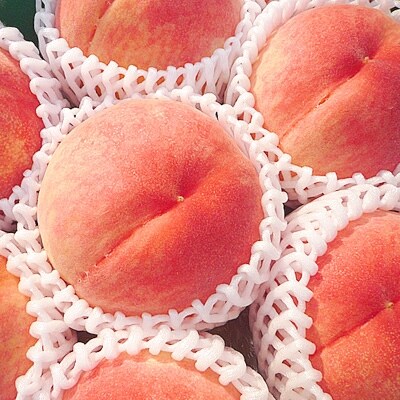 香川県の桃<滴る果汁とあふれる果肉が自慢>大玉の桃2kgセット