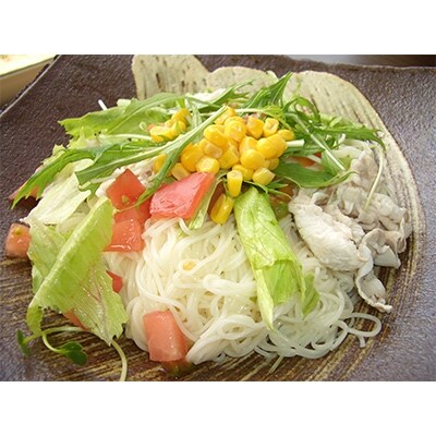 島原手延べ麺詰め合わせ 9袋セット