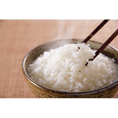 5年連続 特A評価 長崎米5kgと島原手延べ麺のバラエティセット