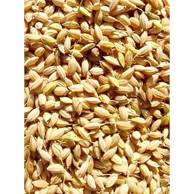 登米市米山町産特別栽培米(ひとめぼれ・ササニシキ)食べ比べ